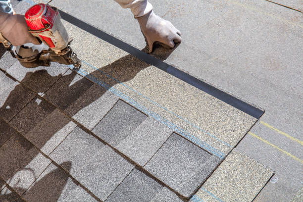 Best Roof Inspection Near Me  in Monee, IL